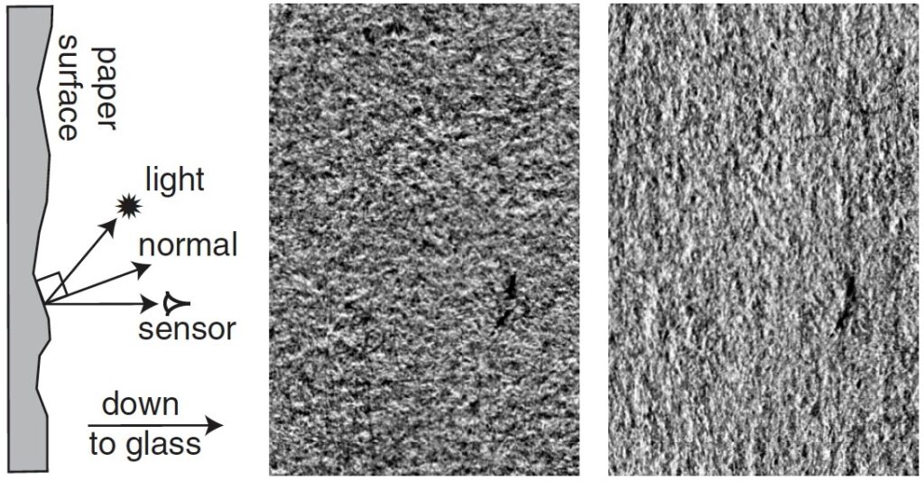 hi-res scan of paper fibers